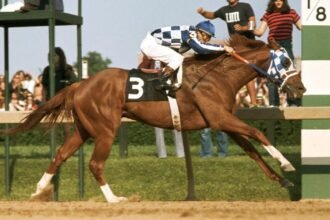 10 Most Famous Racehorses of All Time