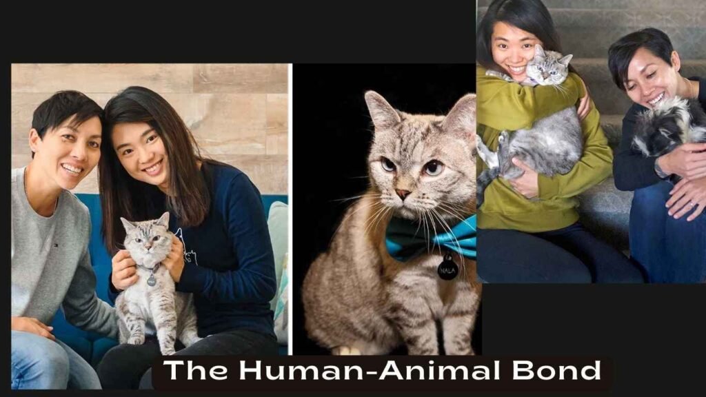 The Human-Animal Bond