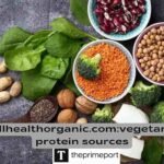 Wellhealthorganic.com:vegetarian protein sources