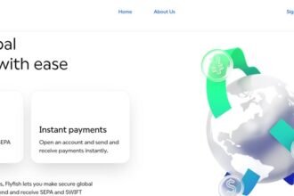 Flyfish Review – Your Solution of Every Payment Problem